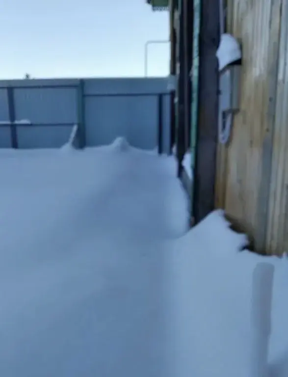 Курганская область Каргапольский р-он с. Брылино, ул. А. Антонова 18. - Фото 12