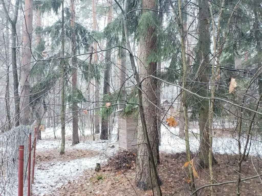 Продажа участка 17 сот. п. Кратово, ул. Кооперативная - Фото 2