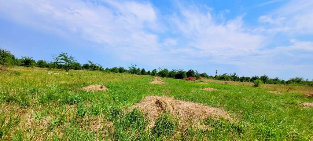 Продажа участка, Северская, Северский район, ул. Российская - Фото 5