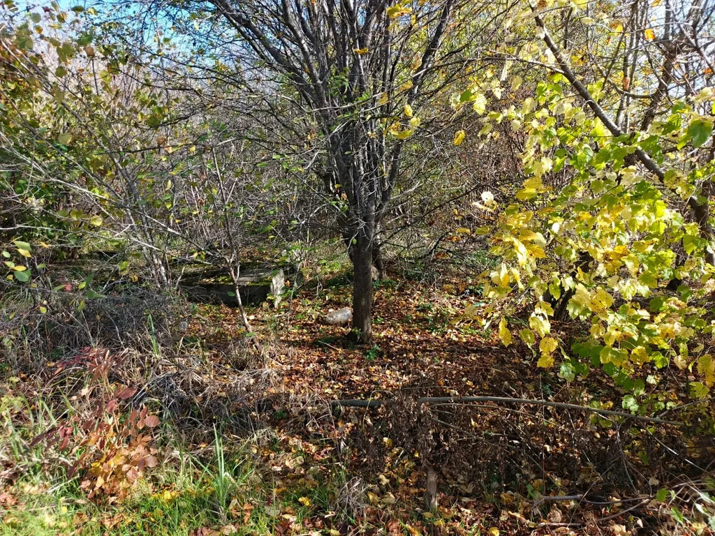 Продажа участка, Афипский, Северский район - Фото 1