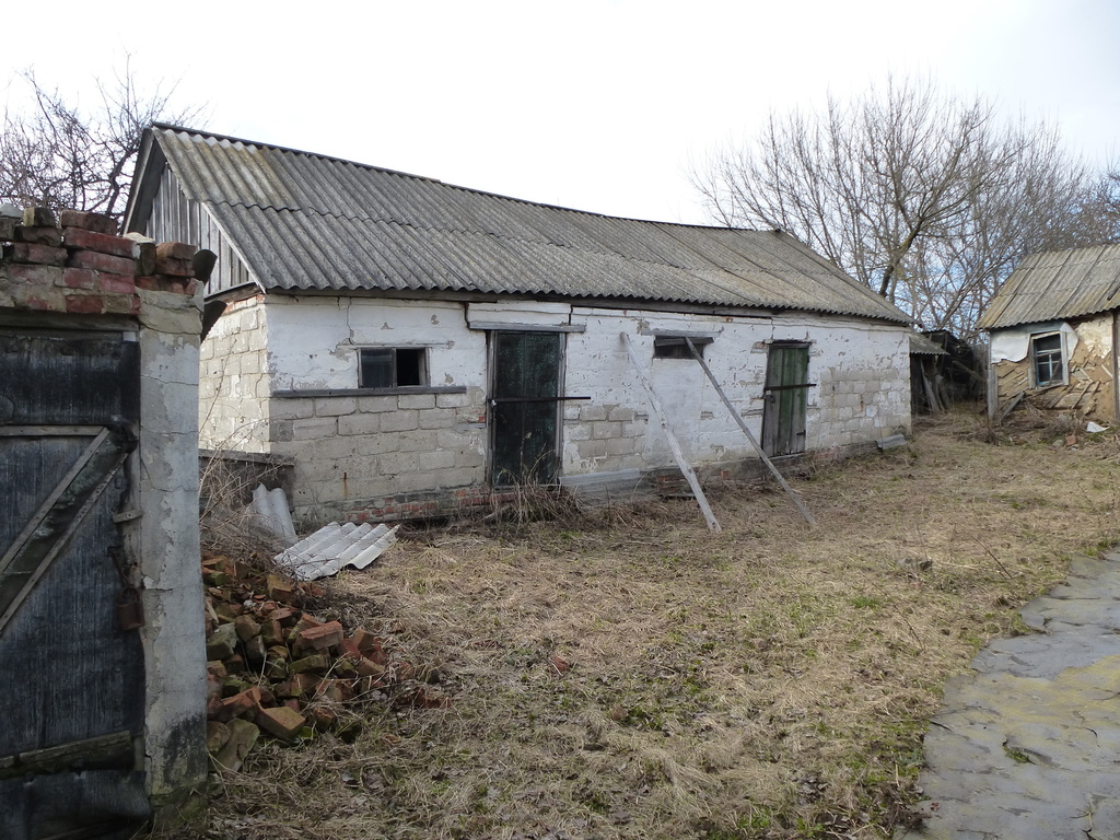 Село васильевка фото