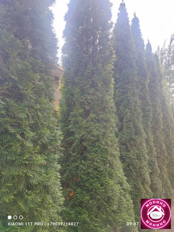 Продажа дома, Монино, Щелковский район, сосновая - Фото 86