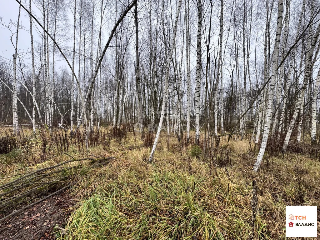 Продажа участка, Сергиев Посад, Сергиево-Посадский район, Суворицкая ... - Фото 2