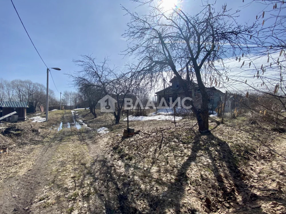 Суздальский район, село Оликово, Секалиха улица, земля на продажу - Фото 2