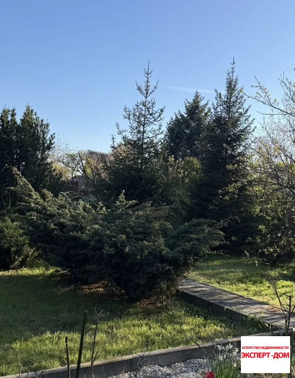 Продажа дома, Неклиновский район, Голубые ели тер. СНТ. - Фото 14