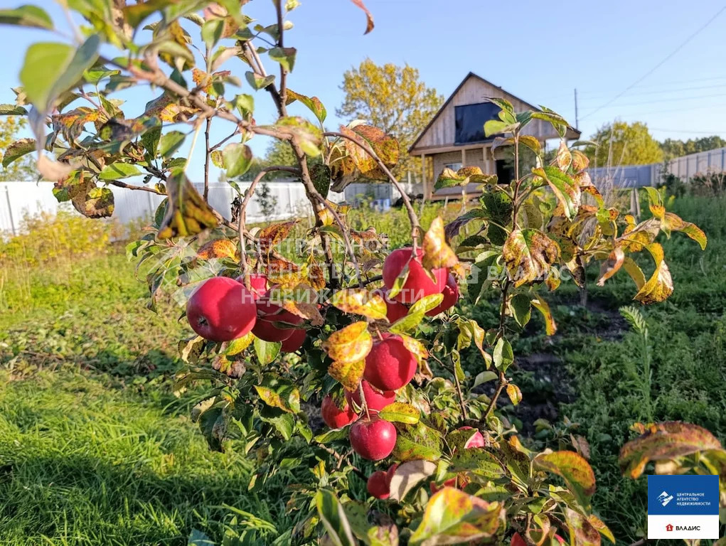 Продажа дома, Шиловский район - Фото 11