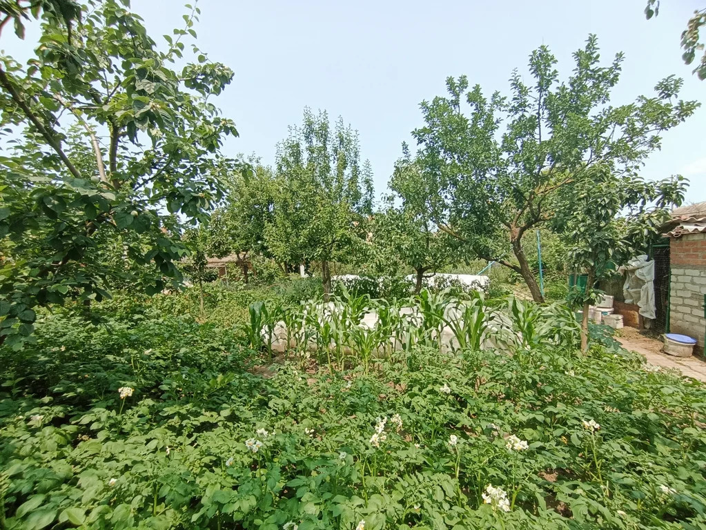 Продажа дома, Темрюк, Темрюкский район, ул. Кириллова - Фото 8