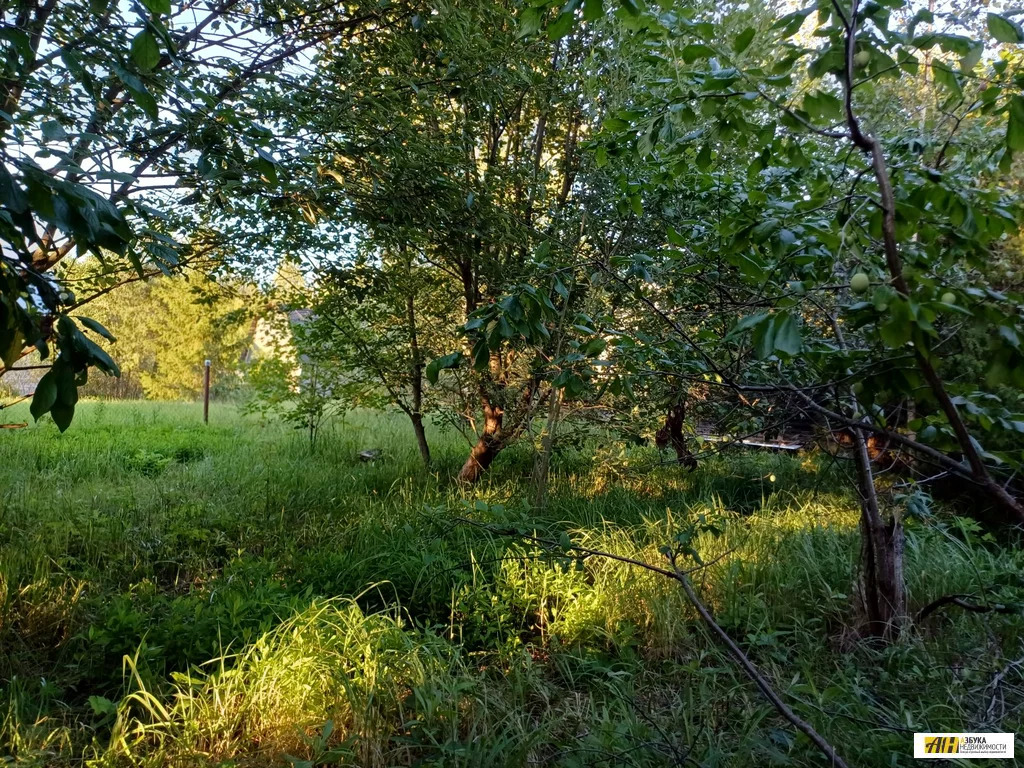 Продажа участка, Садовое товарищество Текстильщик - Фото 2