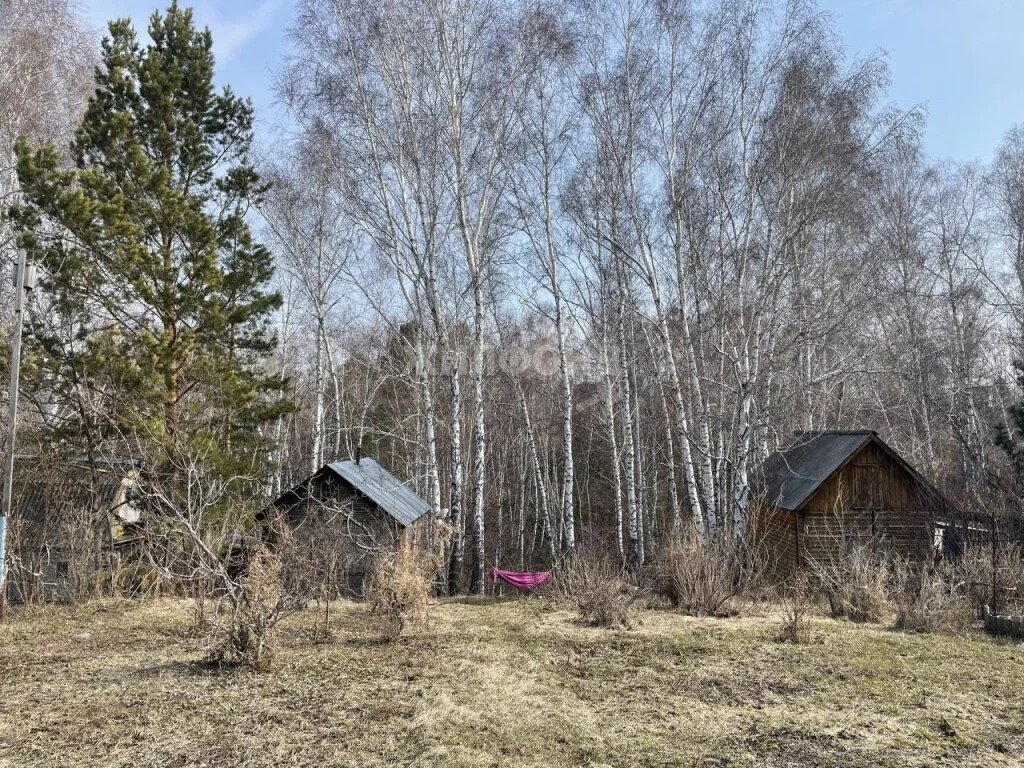 Продажа дома, Новолуговое, Новосибирский район, 3-й квартал - Фото 4