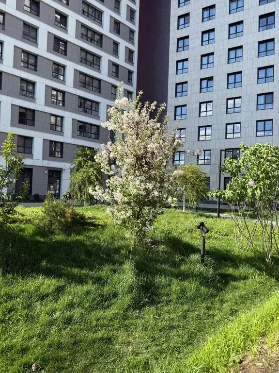 Купить квартиру Кутузов Град 2 по доступной цене - Фото 24