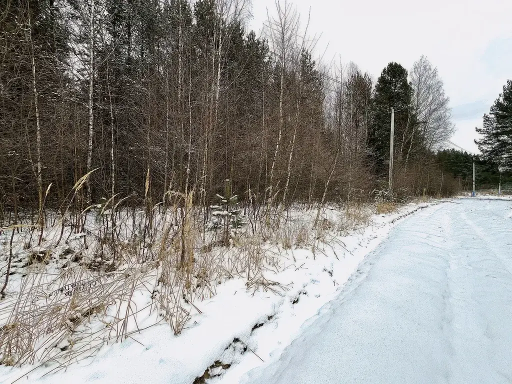 Участок в деревне Сабанино - Фото 3