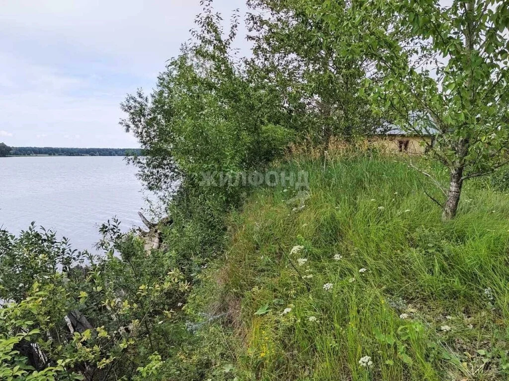 Продажа дома, Милованово, Ордынский район, ул. Береговая - Фото 3