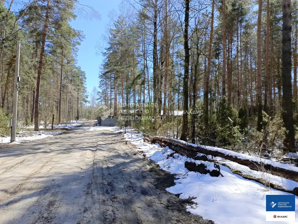Продажа участка, Рязанский район, садоводческое товарищество Лесной - Фото 1