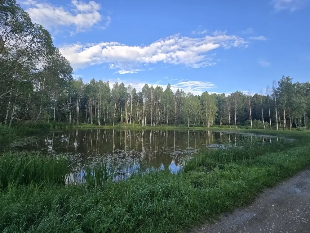 Продаю дом в СНТ Тишинка - Фото 9