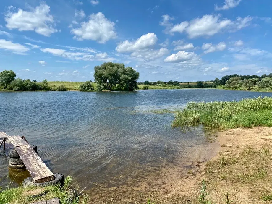 Акатово водохранилище. Рузское водохранилище деревня Акатово. Акатово 1а Рузское водохранилище. База отдыха в Акатово Рузское водохранилище. База Акатово на Рузском водохранилище.