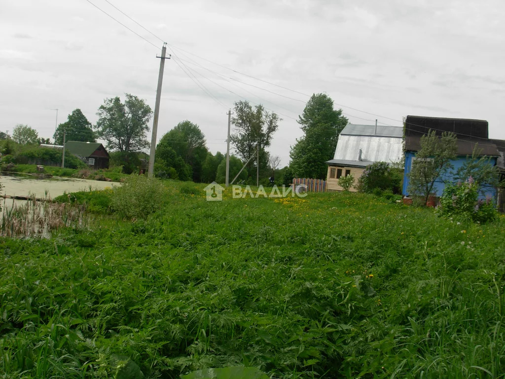 Судогодский район, деревня Мызино,  земля на продажу - Фото 4