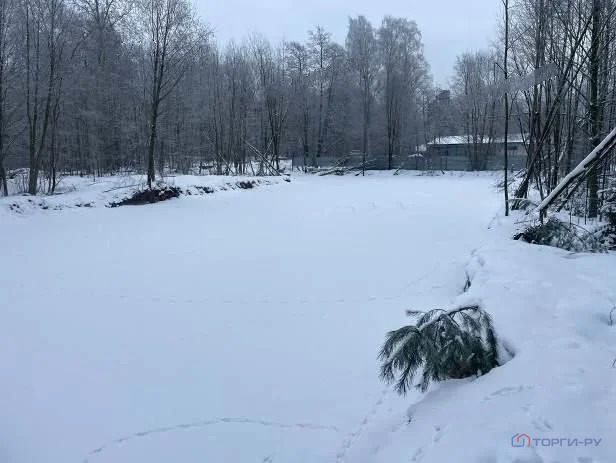 Продажа участка, Зеленогорск, ул. Вокзальная - Фото 7