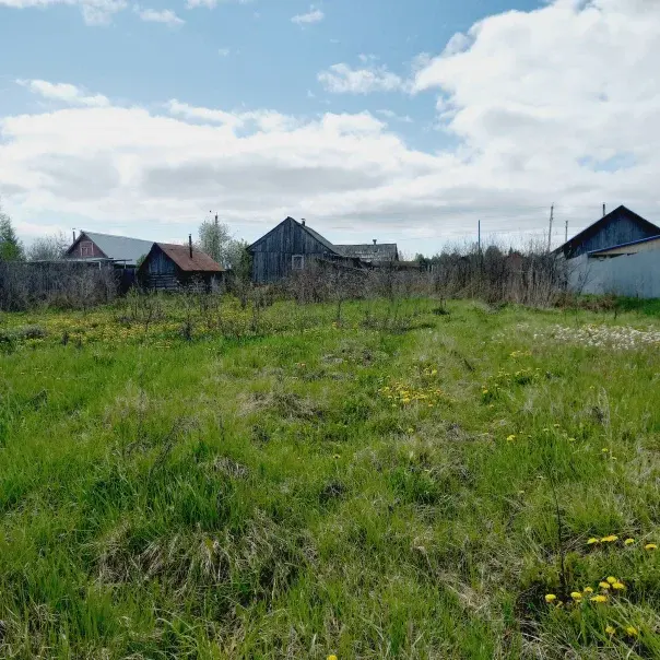 Продам земельный участок , деревня Докша - Фото 4