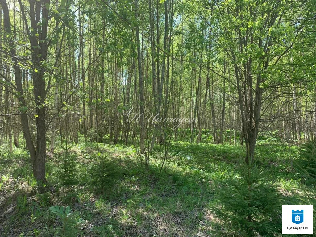 Продажа участка, Клинский район - Фото 0