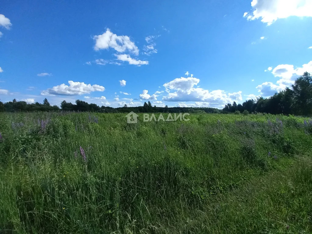 Камешковский район, село Палашкино,  земля на продажу - Фото 0