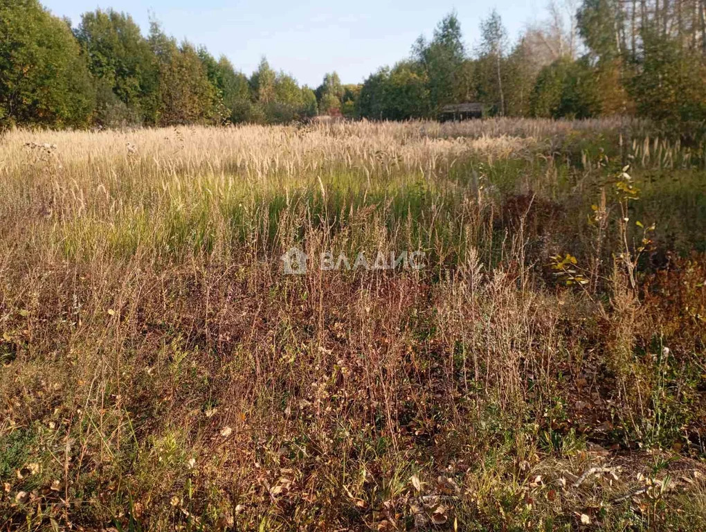 Суздальский район, СНТ Родник,  земля на продажу - Фото 1