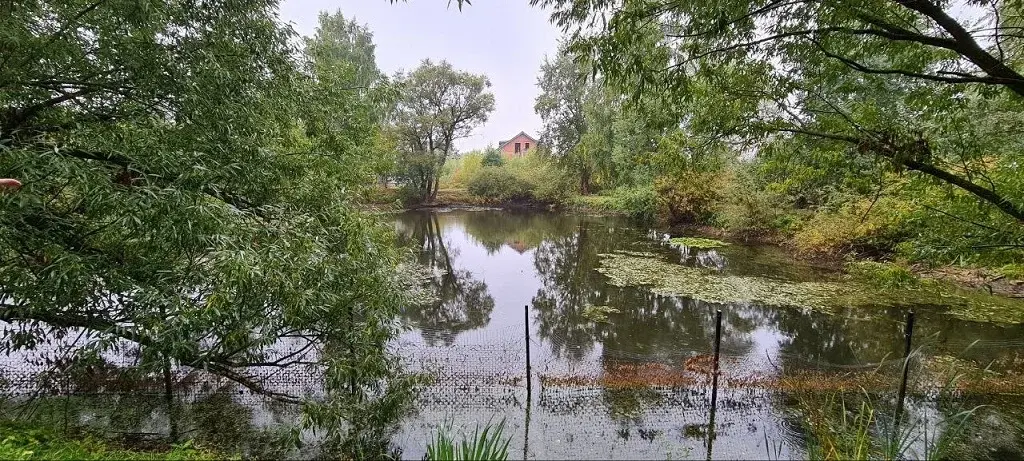 Участок у пруда на Рублевке в Шульгино - Фото 1