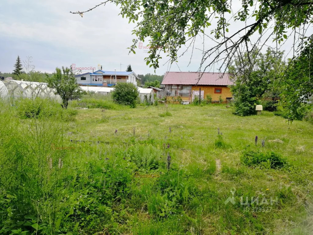 Поселок Зеленый Бор Купить Дом