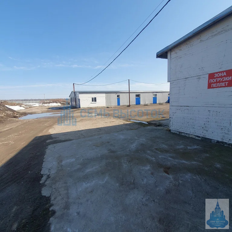 Аренда ПСН, Чехов, Чеховский район, строение 8 - Фото 4