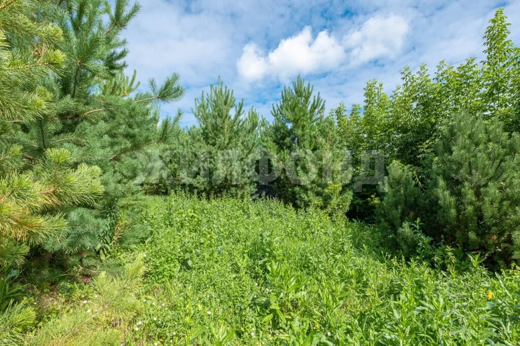 Продажа дома, Новосибирск, ул. Пионерская - Фото 9