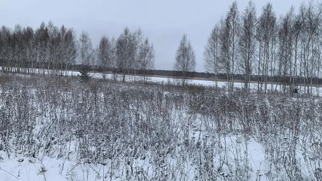 Продам участок в коттеджном поселке Раменские дворики - Фото 4