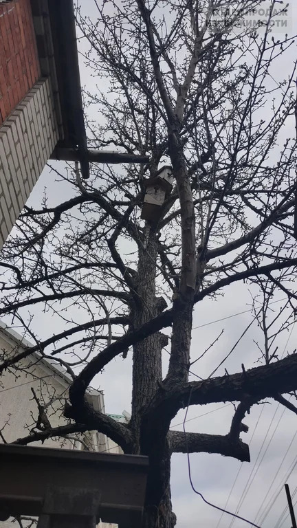 Просторный дом - Фото 15