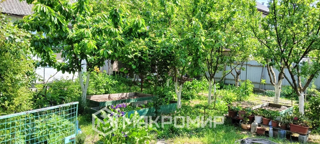 Продажа дома, Новороссийск, ул. Курская - Фото 13