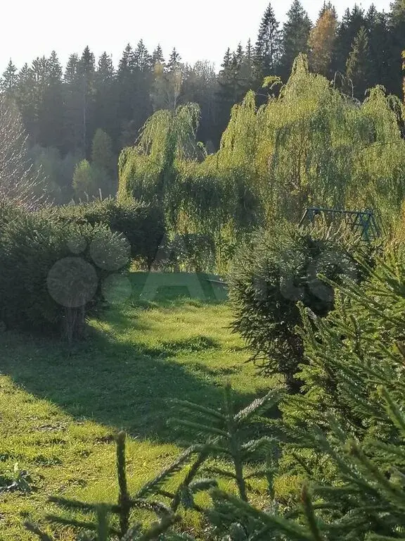 Дом на берегу реки с баней на дровах - Фото 19