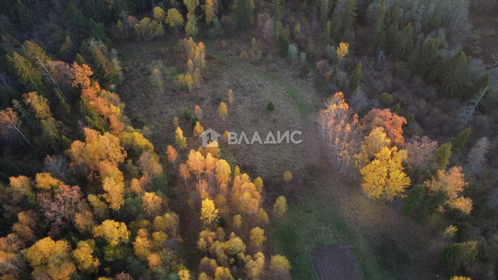 Городской округ Истра, коттеджный посёлок Лукоморье, земля на продажу - Фото 2