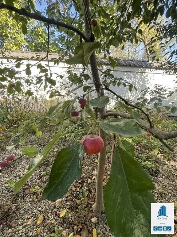 Ценителям сочетания премиальной роскоши и высокого статуса. - Фото 44