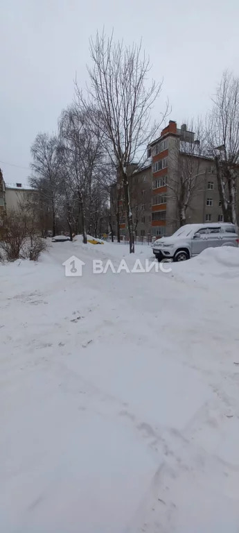 городской округ Владимир, проспект Ленина, д.20, 1-комнатная квартира ... - Фото 33