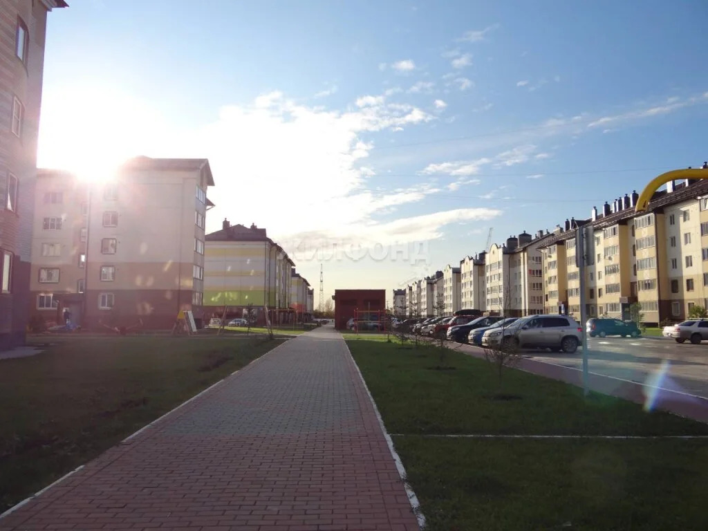 Продажа квартиры, Элитный, Новосибирский район, Фламинго - Фото 41