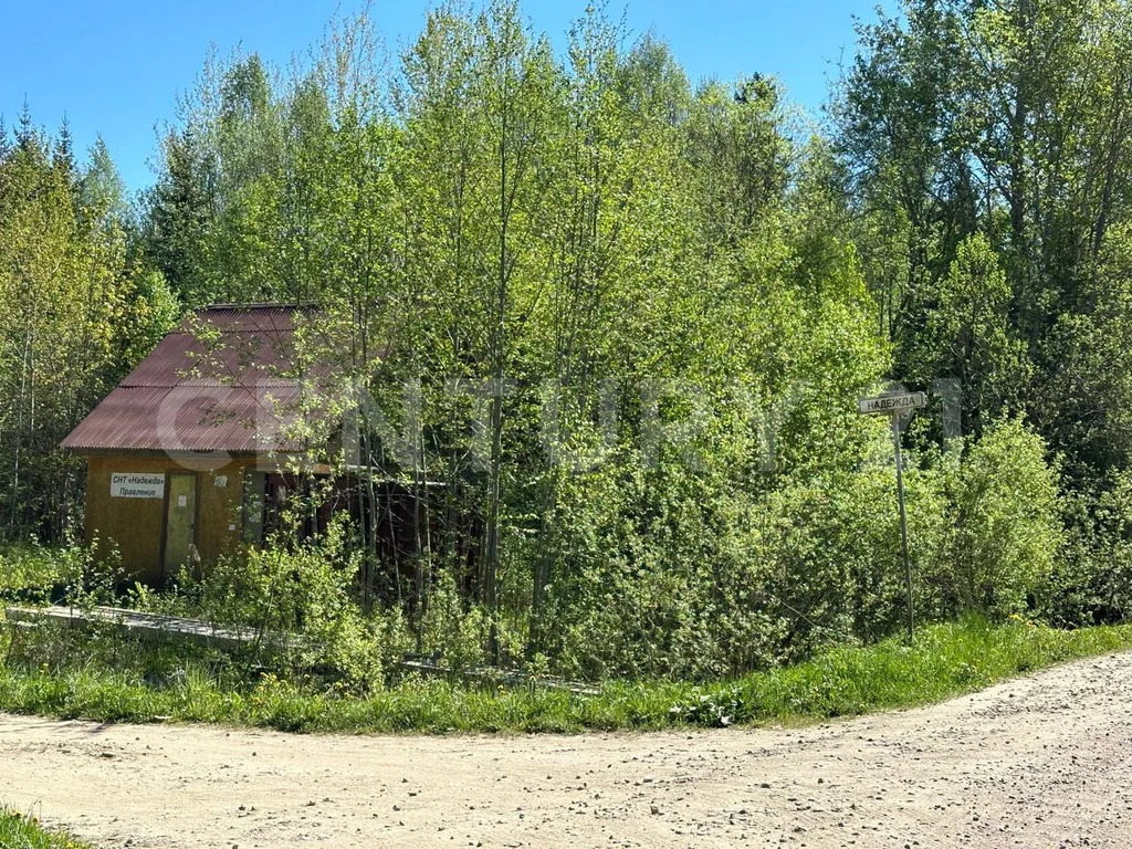 продажа дома, снт надежда массива радофинниково, тосненский район, снт . - Фото 32