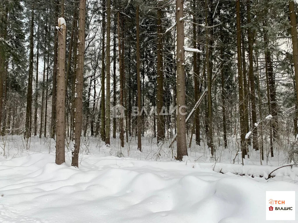 Продажа участка, Сазонки, Дмитровский район - Фото 2