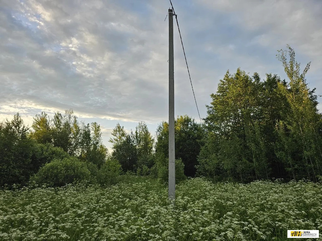 Продажа участка, Карабаново, Богородский г. о. - Фото 7