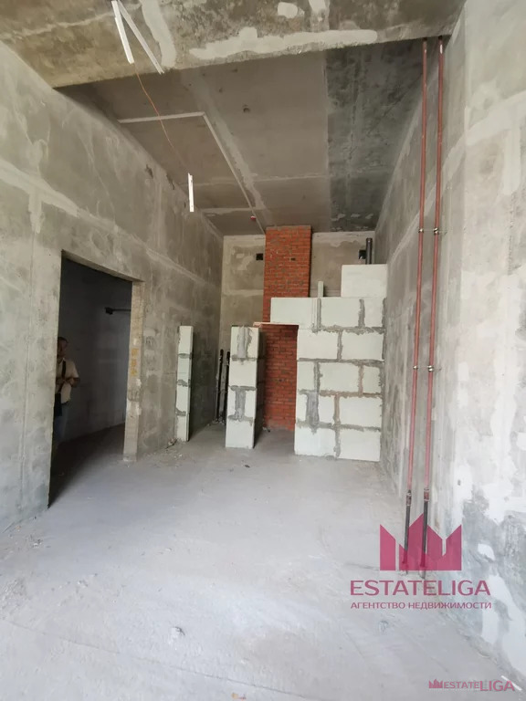 Продажа псн, Балашиха, Балашиха г. о, Косинское шоссе - Фото 3