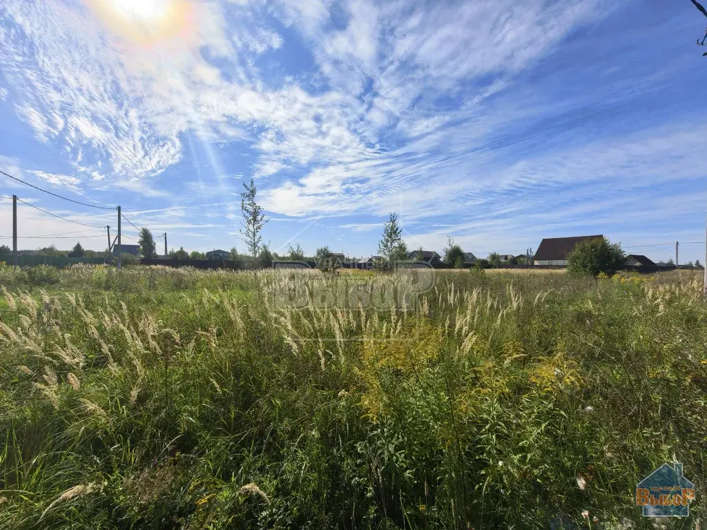 Большой участок 23 сотки - Фото 3