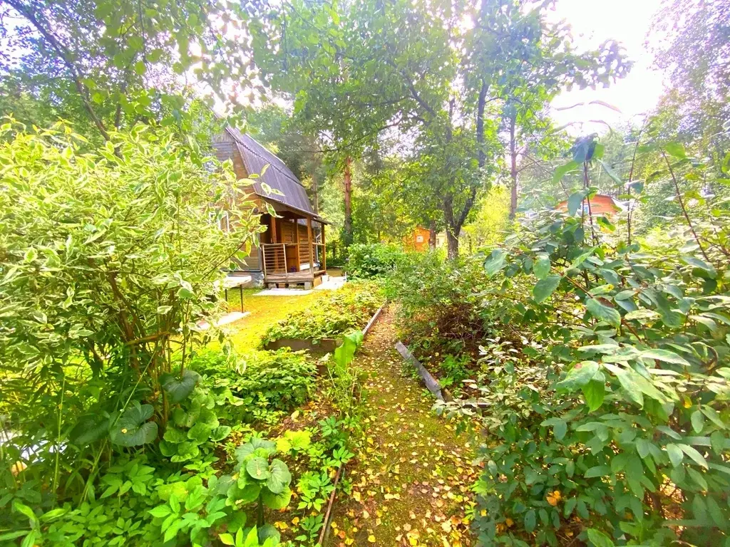 Дача в СНТ Заречье - Фото 14