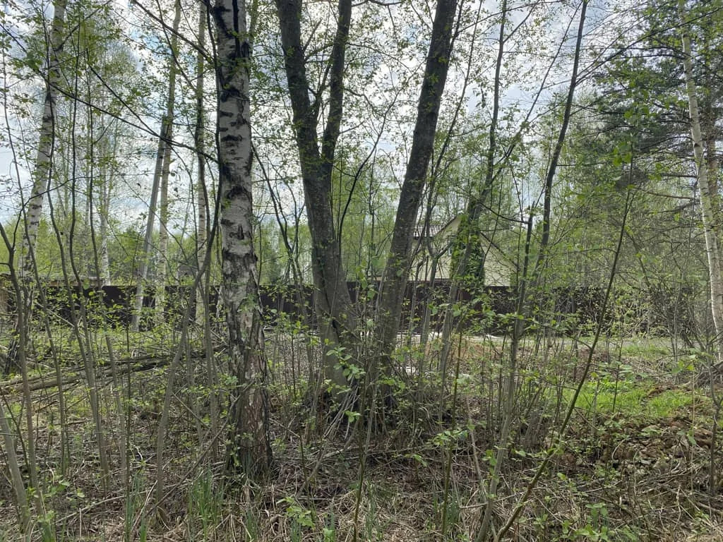Продажа участка, Дмитровский район - Фото 11