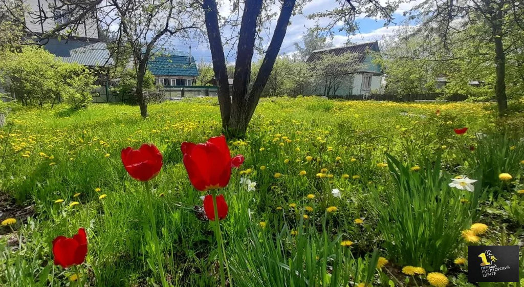 Продажа дома, Воскресенский район, ТСН Солнышко тер. - Фото 10