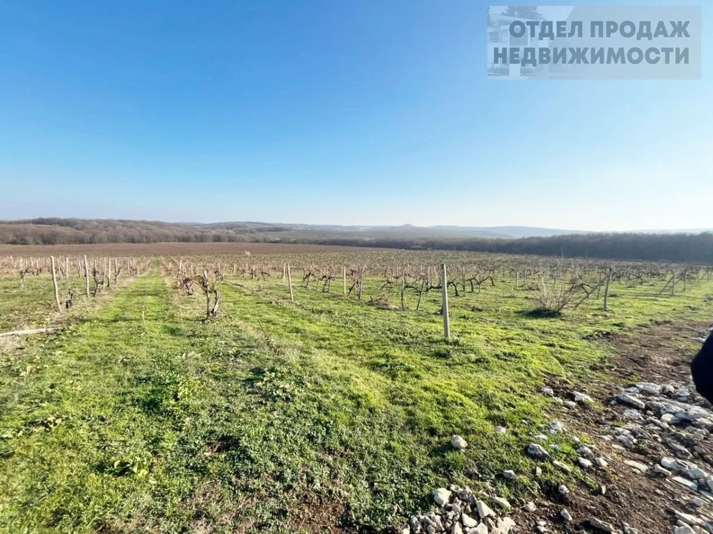 Дом мечты среди виноградной лозы и солнца - Фото 3