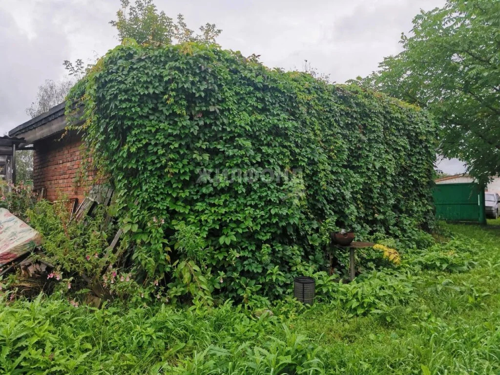 Продажа дома, Плотниково, Новосибирский район, ул. Центральная - Фото 19