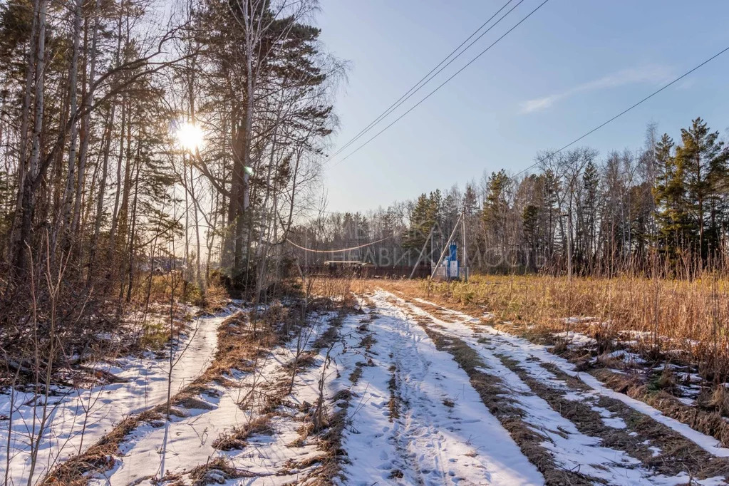 Продажа участка, Ушакова, Тюменский район, Тюменский р-н - Фото 19