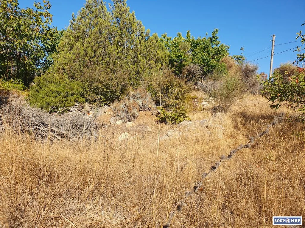 Продается Участок - Фото 7