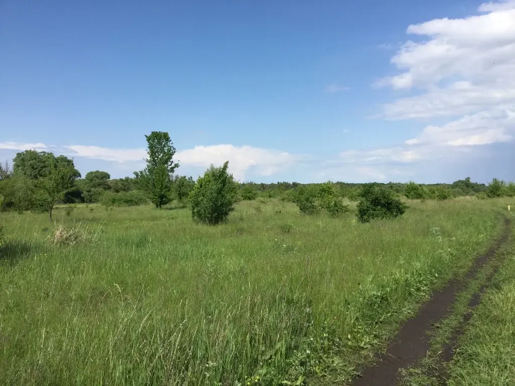 Купить В Воронеже И Воронежской Области